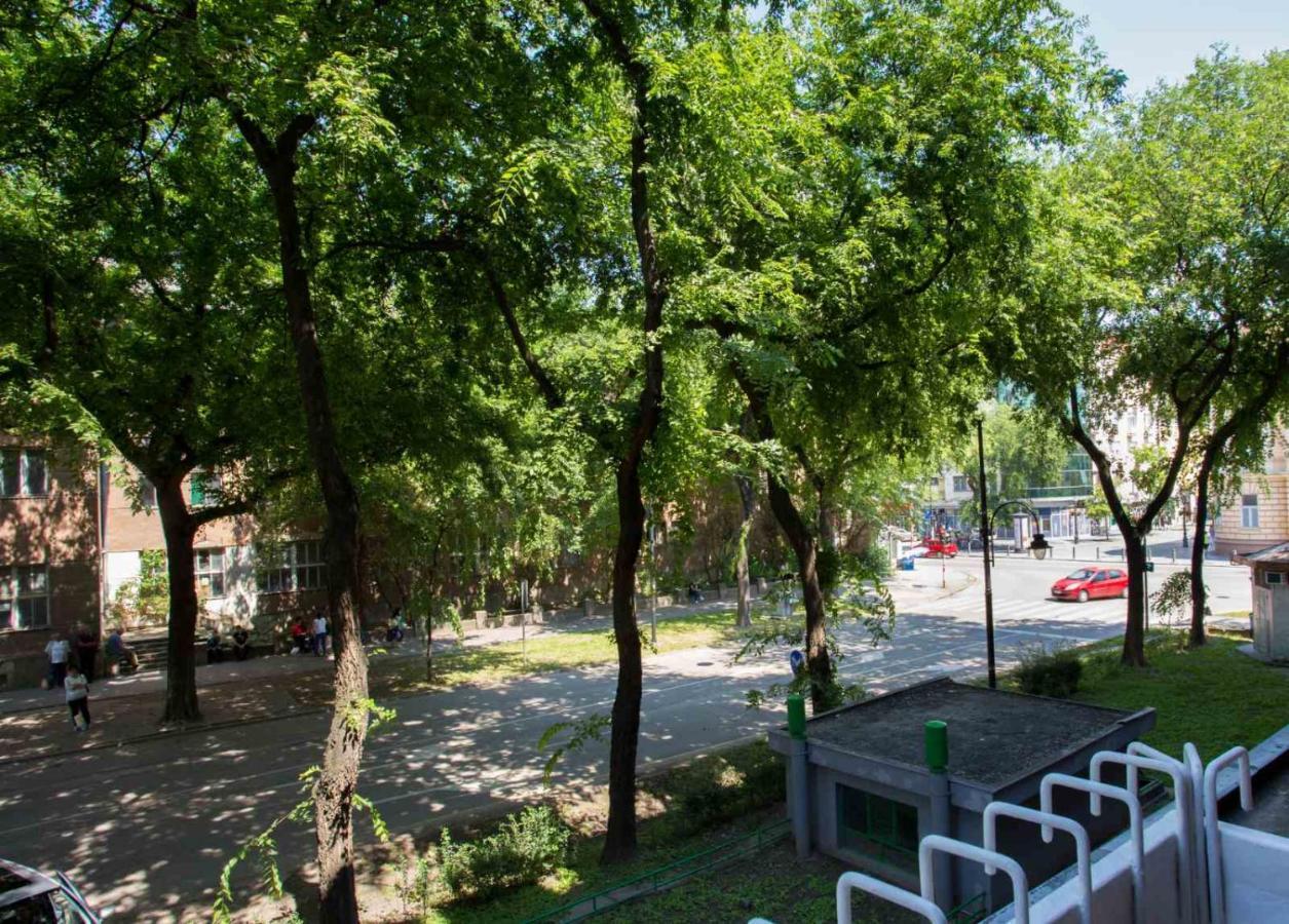Apartman Petreš Sombor Bagian luar foto